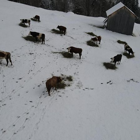فندق Casa Agroturistica Tarancuta Din Vatra Moldoviţei المظهر الخارجي الصورة