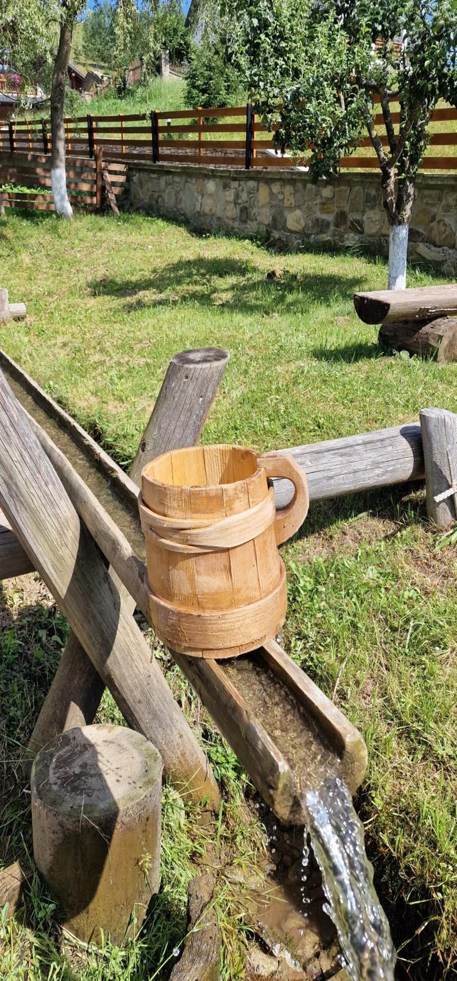 فندق Casa Agroturistica Tarancuta Din Vatra Moldoviţei المظهر الخارجي الصورة