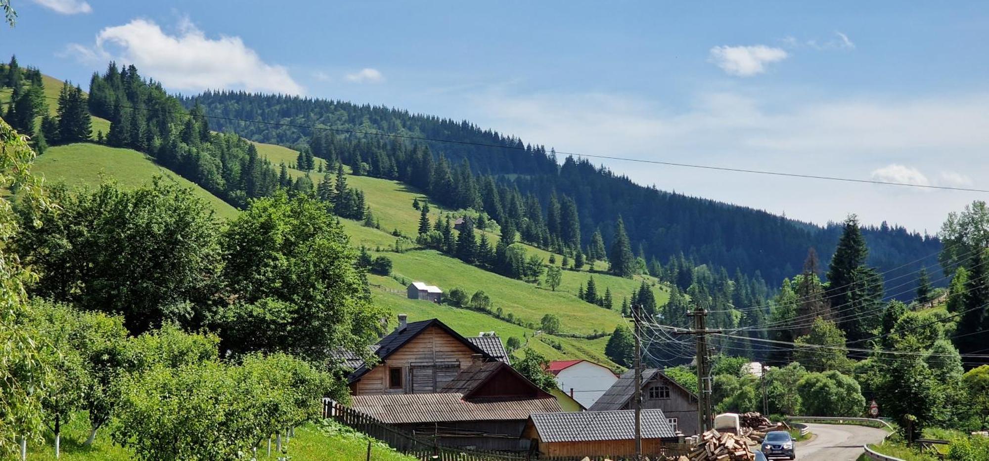 فندق Casa Agroturistica Tarancuta Din Vatra Moldoviţei المظهر الخارجي الصورة